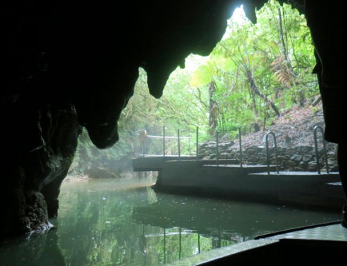 Waitomo Caves