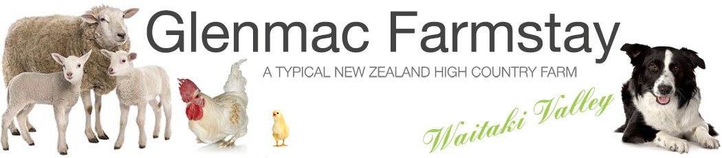 Glenmac Farmstay Logo